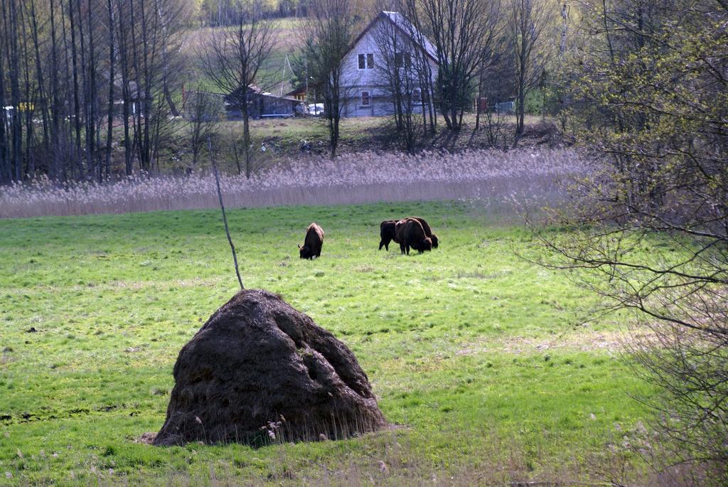 Bojarski Gosciniec Narewka Extérieur photo